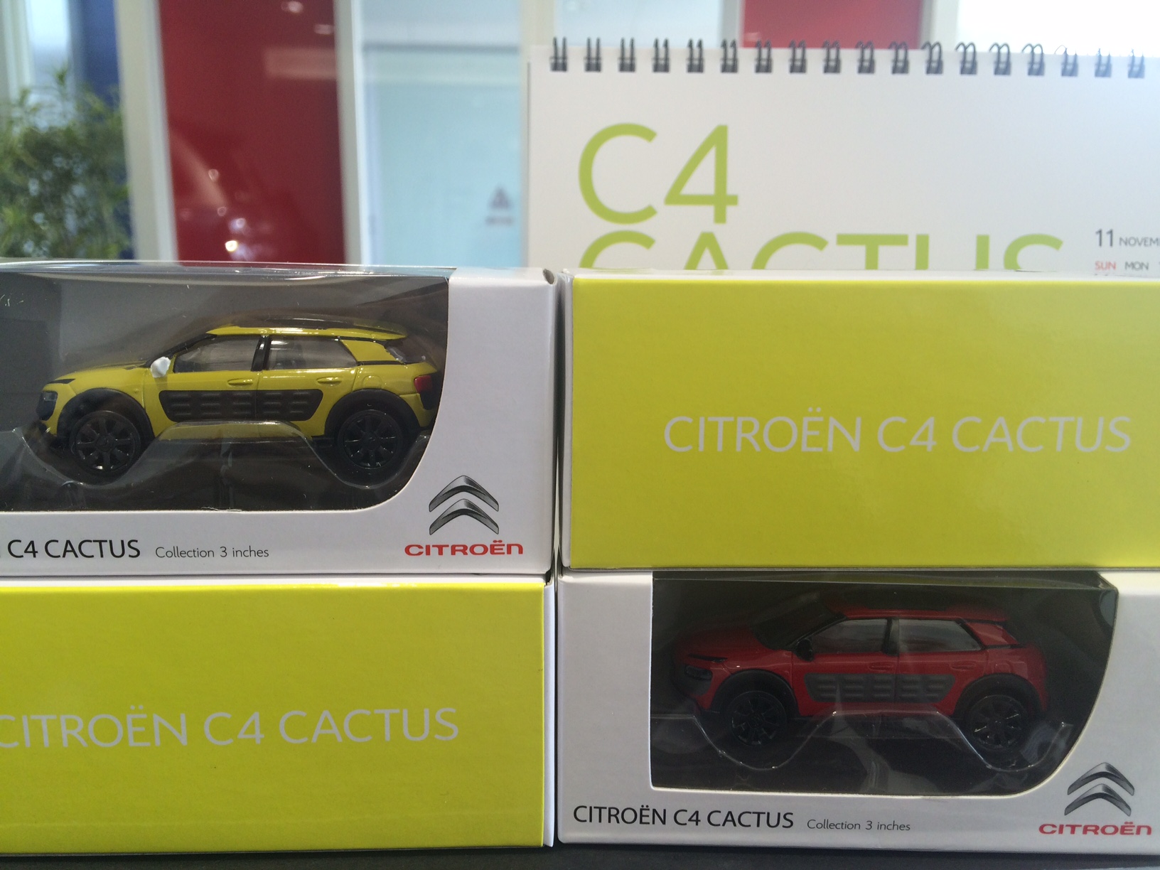 C4 CACTUS!!