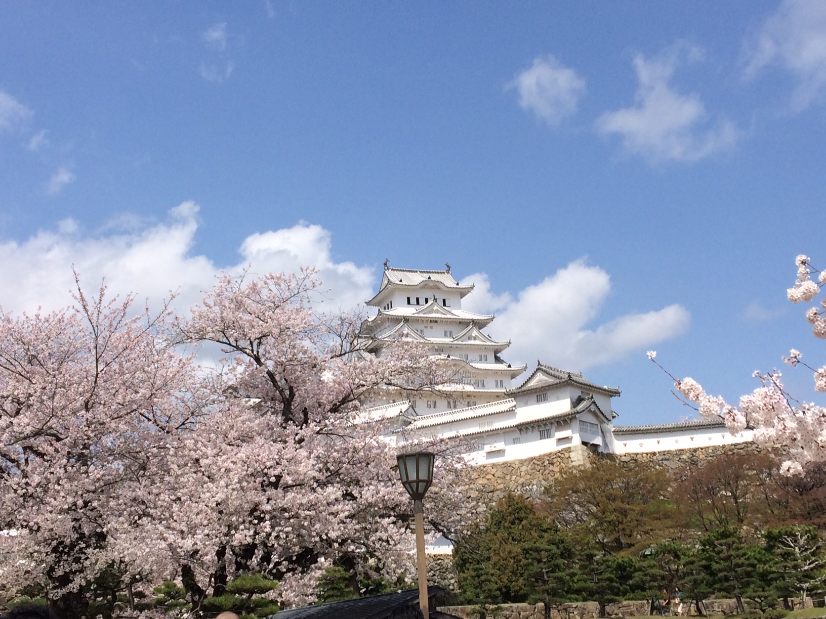 ショールームアシスタントの休日(春桜編)