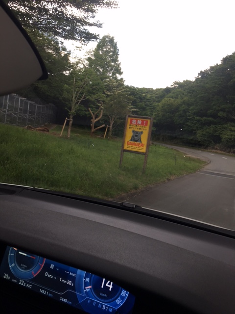 罪滅ぼしDAY。