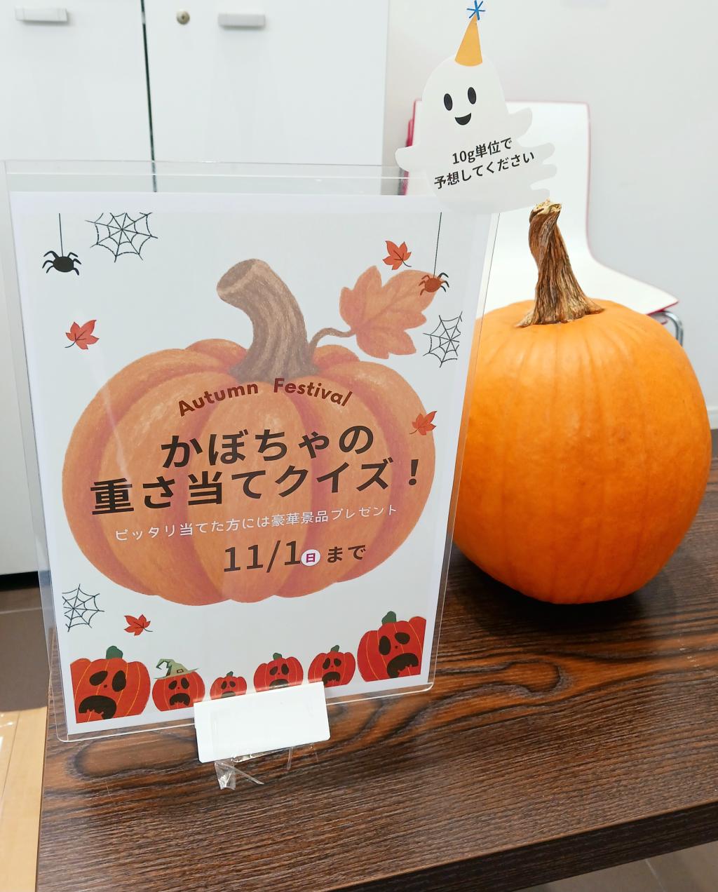 10月はシトロエン浜松へ！